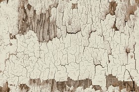 Textures   -   ARCHITECTURE   -   WOOD   -  cracking paint - Cracking paint wood texture seamless 04130