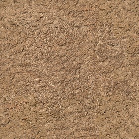 Textures   -   NATURE ELEMENTS   -   SOIL   -  Mud - Mud texture seamless 12898