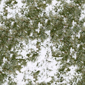 Textures   -   NATURE ELEMENTS   -   SNOW  - Snow with grass texture seamless 12793 (seamless)