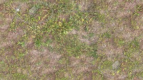 Textures   -   NATURE ELEMENTS   -   VEGETATION   -  Dry grass - Dry grass texture seamless 17331
