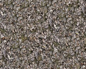 Textures   -   NATURE ELEMENTS   -   VEGETATION   -   Leaves dead  - Leaves dead texture seamless 13143 (seamless)