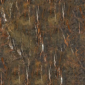 Textures   -   ARCHITECTURE   -   MARBLE SLABS   -   Brown  - Slab marble sienna brown texture seamless 01995 (seamless)