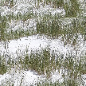 Textures   -   NATURE ELEMENTS   -   SNOW  - Snow with grass texture seamless 12794 (seamless)