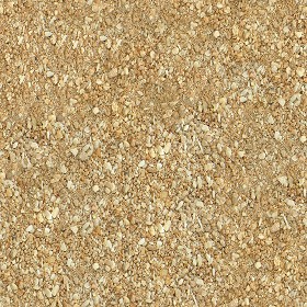 Textures   -   NATURE ELEMENTS   -   SAND  - Beach sand texture seamless 12727 (seamless)