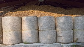 Textures   -   BACKGROUNDS &amp; LANDSCAPES   -   NATURE   -   Countrysides &amp; Hills  - Countryside landscape with hay rolls 17623