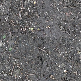 Textures   -   NATURE ELEMENTS   -   SOIL   -   Ground  - Ground texture seamless 12838 (seamless)