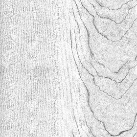Textures   -   ARCHITECTURE   -   WOOD   -   Plywood  - Maple plywood texture seamless 04536 - Bump