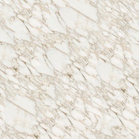 Textures   -   ARCHITECTURE   -   MARBLE SLABS   -   White  - Slab marble white calacatta texture gold seamless 02599 (seamless)