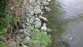 Textures   -   NATURE ELEMENTS   -   WATER   -  Streams - Water stream whit stones 17385