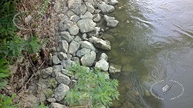 Textures   -   NATURE ELEMENTS   -   WATER   -   Streams  - Water stream whit stones 17385