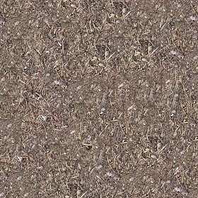 Textures   -   NATURE ELEMENTS   -   SOIL   -  Ground - Ground texture seamless 12839