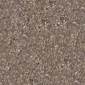 Textures   -   NATURE ELEMENTS   -   SOIL   -   Ground  - Ground texture seamless 12839 (seamless)