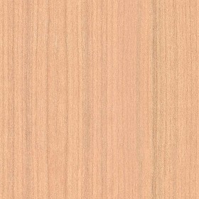 Textures   -   ARCHITECTURE   -   WOOD   -  Plywood - Plywood texture seamless 04537