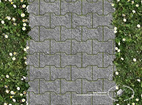 Textures   -   ARCHITECTURE   -   PAVING OUTDOOR   -  Parks Paving - Stone block park paving texture seamless 18692