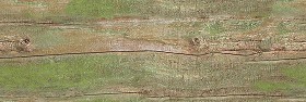 Textures   -   NATURE ELEMENTS   -   BARK  - Bark texture seamless 12337 (seamless)