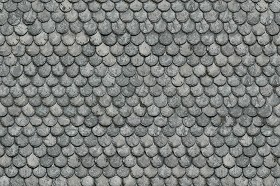 Textures   -   ARCHITECTURE   -   ROOFINGS   -   Slate roofs  - Dirty slate roofing texture seamless 03925 (seamless)