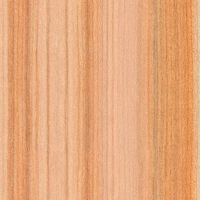 Textures   -   ARCHITECTURE   -   WOOD   -   Plywood  - Plywood texture seamless 04538 (seamless)