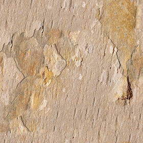 Textures   -   NATURE ELEMENTS   -   ROCKS  - Rock stone texture seamless 12650 (seamless)