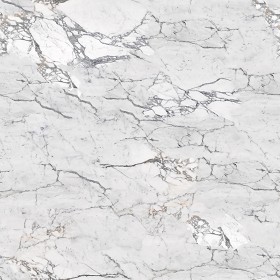 Textures   -   ARCHITECTURE   -   MARBLE SLABS   -  White - Slab marble white calacatta texture seamless 02601