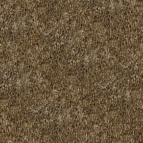 Textures   -   ARCHITECTURE   -   ROOFINGS   -   Thatched roofs  - Thatched roof texture seamless 04067 (seamless)
