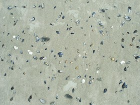 Textures   -   NATURE ELEMENTS   -  SAND - Beach sand texture seamless 12730