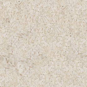 Textures   -   ARCHITECTURE   -   STONES WALLS   -   Wall surface  - Coralstone surface texture seamless 08616 (seamless)