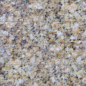 Textures   -   ARCHITECTURE   -   TILES INTERIOR   -   Marble tiles   -   Granite  - Granite marble floor texture seamless 14365 (seamless)