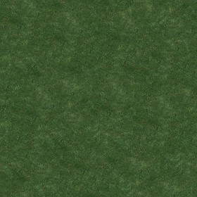 Textures   -   NATURE ELEMENTS   -   VEGETATION   -   Green grass  - Green grass texture seamless 12997 (seamless)