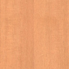 Textures   -   ARCHITECTURE   -   WOOD   -   Plywood  - Plywood texture seamless 04539 (seamless)
