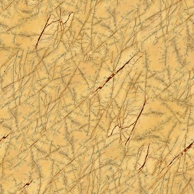 Textures   -   ARCHITECTURE   -   MARBLE SLABS   -   Yellow  - Slab marble Orient yellow texture seamless 02682 (seamless)