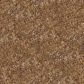 Textures   -   ARCHITECTURE   -   ROOFINGS   -   Thatched roofs  - Thatched roof texture seamless 04068 (seamless)