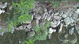Textures   -   NATURE ELEMENTS   -   WATER   -  Streams - Water stream whit stones texture seamless 17388