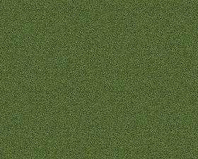 Textures   -   NATURE ELEMENTS   -   VEGETATION   -  Green grass - Green grass texture seamless 12998