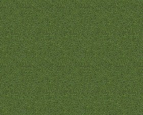 Textures   -   NATURE ELEMENTS   -   VEGETATION   -   Green grass  - Green grass texture seamless 12998 (seamless)