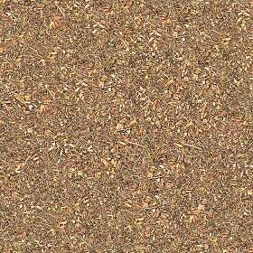Textures   -   NATURE ELEMENTS   -   SOIL   -  Ground - Ground texture seamless 12842