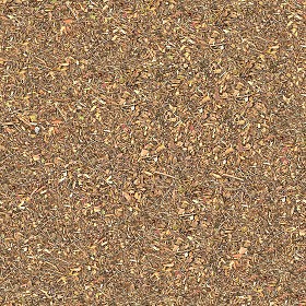 Textures   -   NATURE ELEMENTS   -   SOIL   -   Ground  - Ground texture seamless 12842 (seamless)