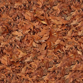 Textures   -   NATURE ELEMENTS   -   VEGETATION   -   Leaves dead  - Leaves dead texture seamless 13148 (seamless)
