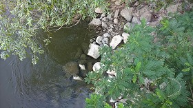 Textures   -   NATURE ELEMENTS   -   WATER   -  Streams - Water stream whit stones texture 17389