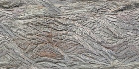 Textures   -   NATURE ELEMENTS   -  BARK - Bark texture seamless 12340