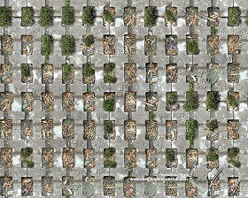Textures   -   ARCHITECTURE   -   PAVING OUTDOOR   -   Parks Paving  - Concrete park paving texture seamless 18697 (seamless)