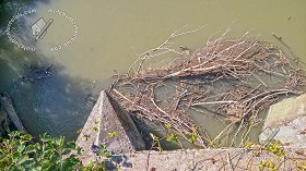 Textures   -   NATURE ELEMENTS   -   WATER   -   Streams  - Dirt water stream texture 17391