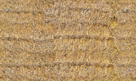 Textures   -   NATURE ELEMENTS   -   VEGETATION   -  Dry grass - Hay texture seamless 20746
