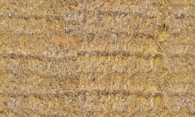 Textures   -   NATURE ELEMENTS   -   VEGETATION   -   Dry grass  - Hay texture seamless 20746 (seamless)