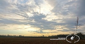 Textures   -   BACKGROUNDS &amp; LANDSCAPES   -   SUNRISES &amp; SUNSETS  - Sunrise with rural background 18389