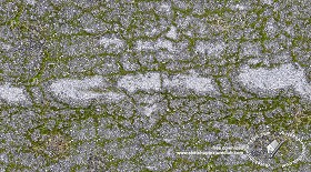Textures   -   ARCHITECTURE   -   ROADS   -  Asphalt damaged - Damaged asphalt with moss texture seamless 18660