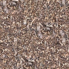 Textures   -   NATURE ELEMENTS   -   SOIL   -  Ground - Ground texture seamless 12845