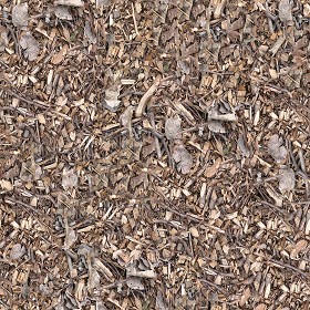 Textures   -   NATURE ELEMENTS   -   SOIL   -   Ground  - Ground texture seamless 12845 (seamless)