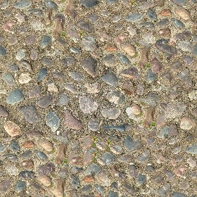 Textures   -   ARCHITECTURE   -   ROADS   -   Paving streets   -   Rounded cobble  - Rounded cobblestone texture seamless 07518 (seamless)