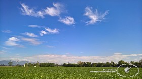 Textures   -   BACKGROUNDS &amp; LANDSCAPES   -  SKY &amp; CLOUDS - Sky with rural background 17919