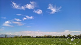 Textures   -   BACKGROUNDS &amp; LANDSCAPES   -   SKY &amp; CLOUDS  - Sky with rural background 17919